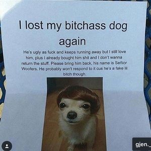 Meet your Posher, Riley